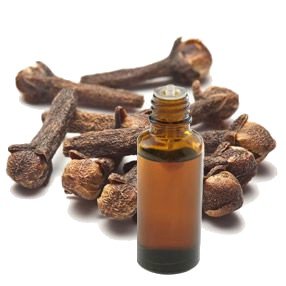 Naturo pathica Huile De Girofle 50ml